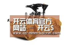产品名称二