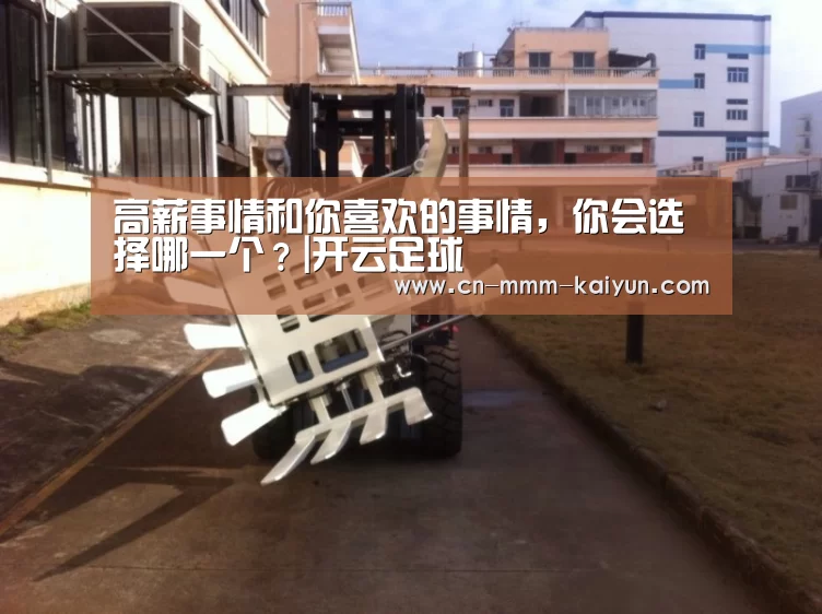 开云电竞